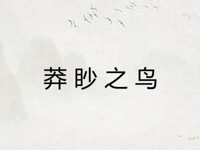 莽眇之鸟