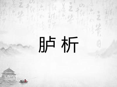 胪析