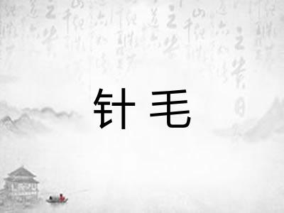 针毛