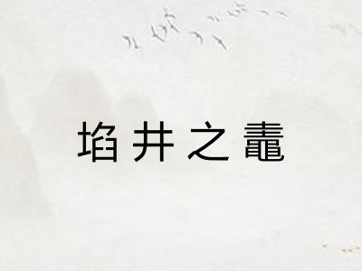 埳井之鼃