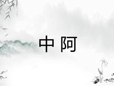 中阿