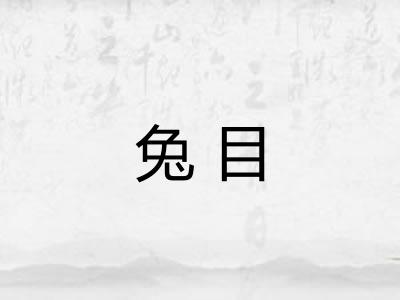兔目
