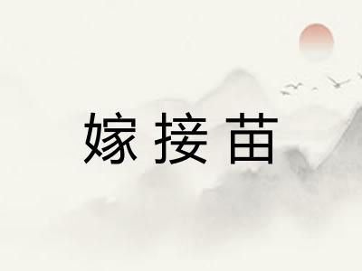 嫁接苗