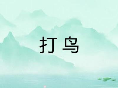 打鸟