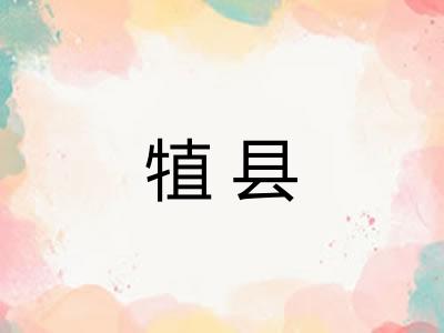 犆县