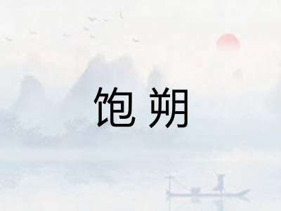 饱朔