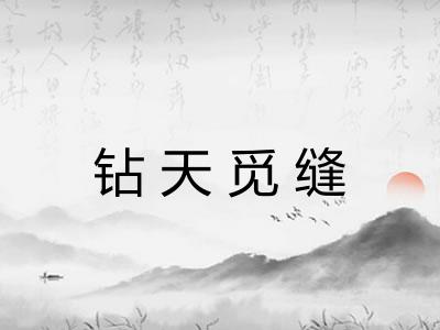 钻天觅缝