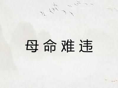 母命难违