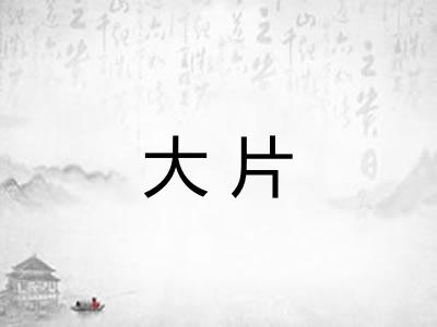 大片