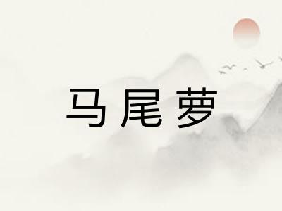 马尾萝