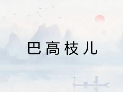 巴高枝儿