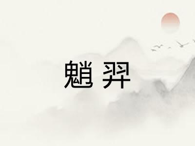 魈羿