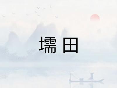 壖田