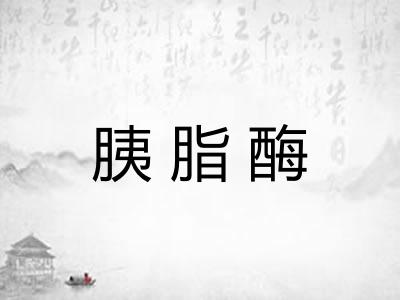 胰脂酶
