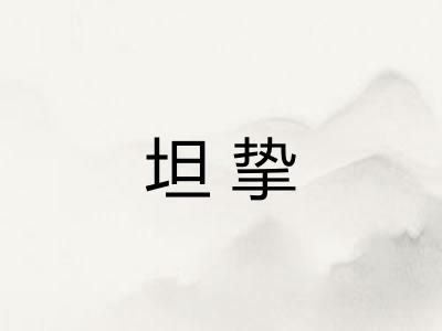 坦挚