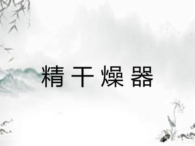 精干燥器