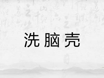 洗脑壳