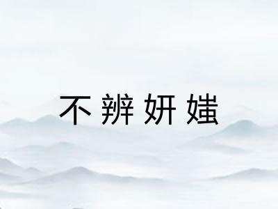 不辨妍媸