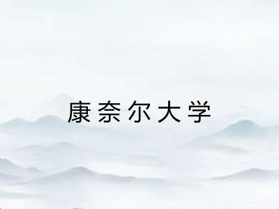 康奈尔大学