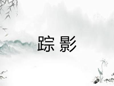 踪影