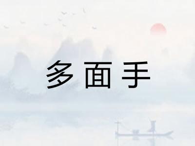 多面手