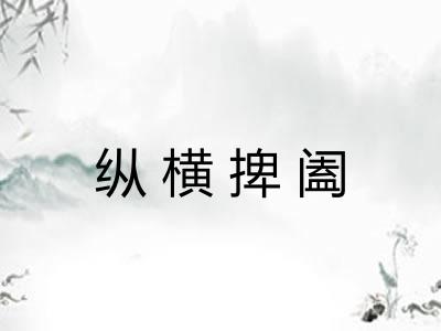 纵横捭阖