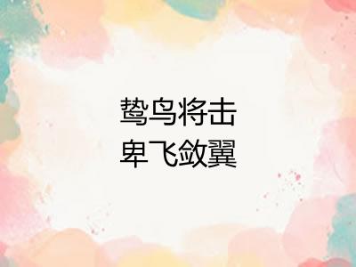 鸷鸟将击卑飞敛翼