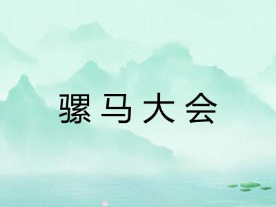 骡马大会