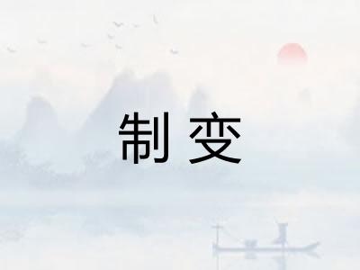制变
