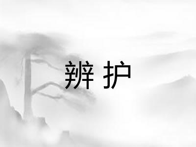 辨护