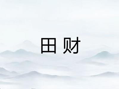 田财