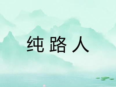 纯路人