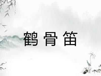 鹤骨笛
