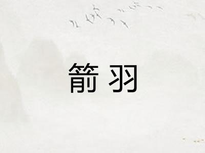 箭羽