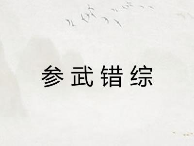参武错综