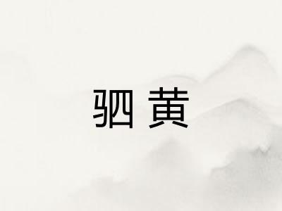 驷黄