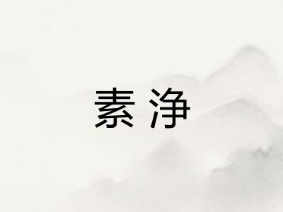 素浄