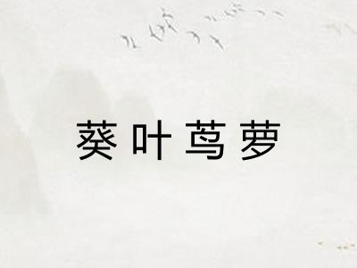 葵叶茑萝
