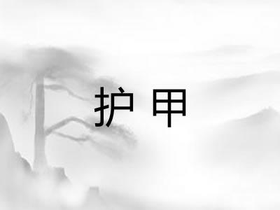 护甲