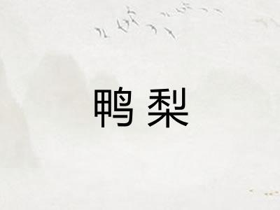 鸭梨