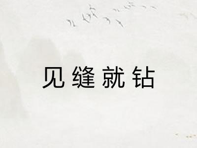 见缝就钻