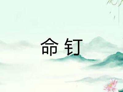 命钉