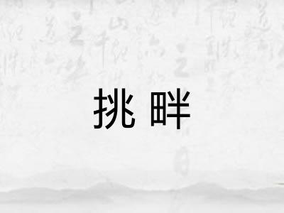挑畔