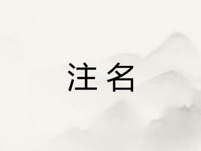 注名