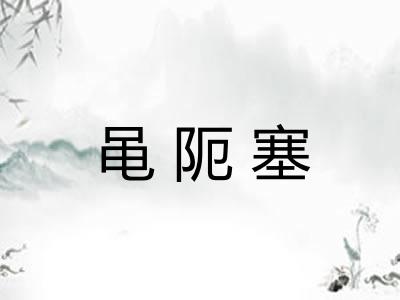 黾阨塞