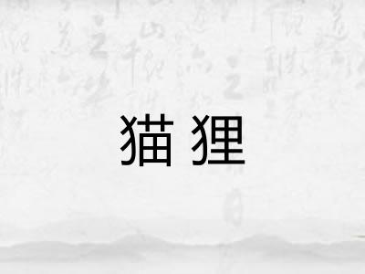 猫狸