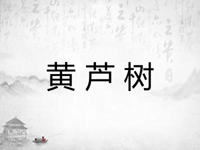 黄芦树