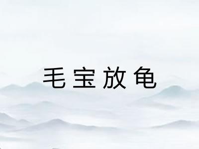 毛宝放龟