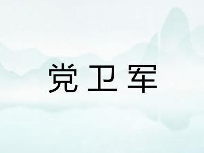 党卫军