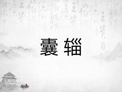 囊辎